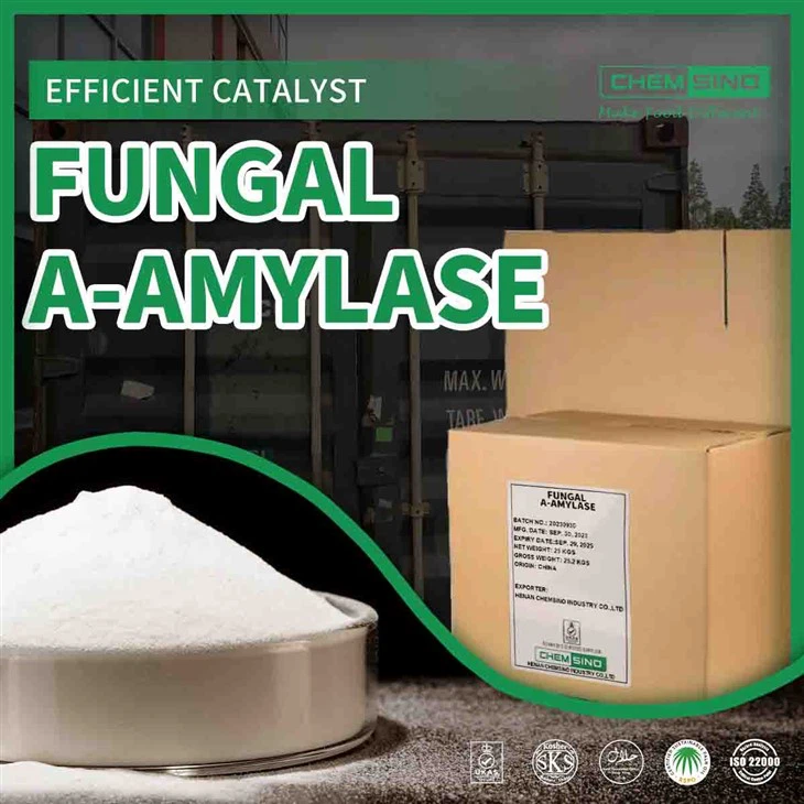 Az Aspergillus Oryzae által termelt gombás alfa-amiláz sütőenzimek