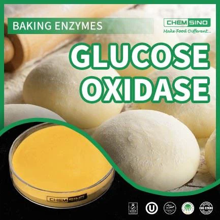 Glucose Oxidase Enzyme Supplier