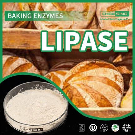 Emésztési harmónia elérve: Lipáz Enzyme Magic Touch CAS SZÁMA:9001-62-1