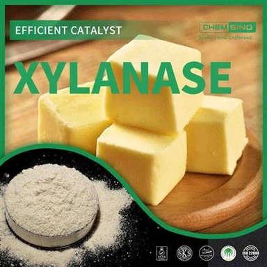 Növelje eredményeit a CAS 9025-57-4 xilanáz enzim erejével!