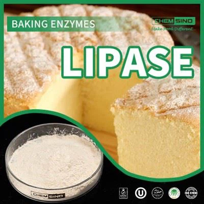 Hozza ki a legtöbbet étkezéséből: Lipase Enzyme Unleashed!CAS-SZÁM:9001-62-1