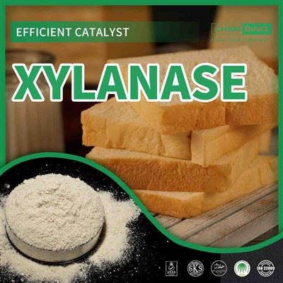 Xilanáz enzim: A hatékonyság újradefiniálása – CAS 9025-57-4 Feloldva!